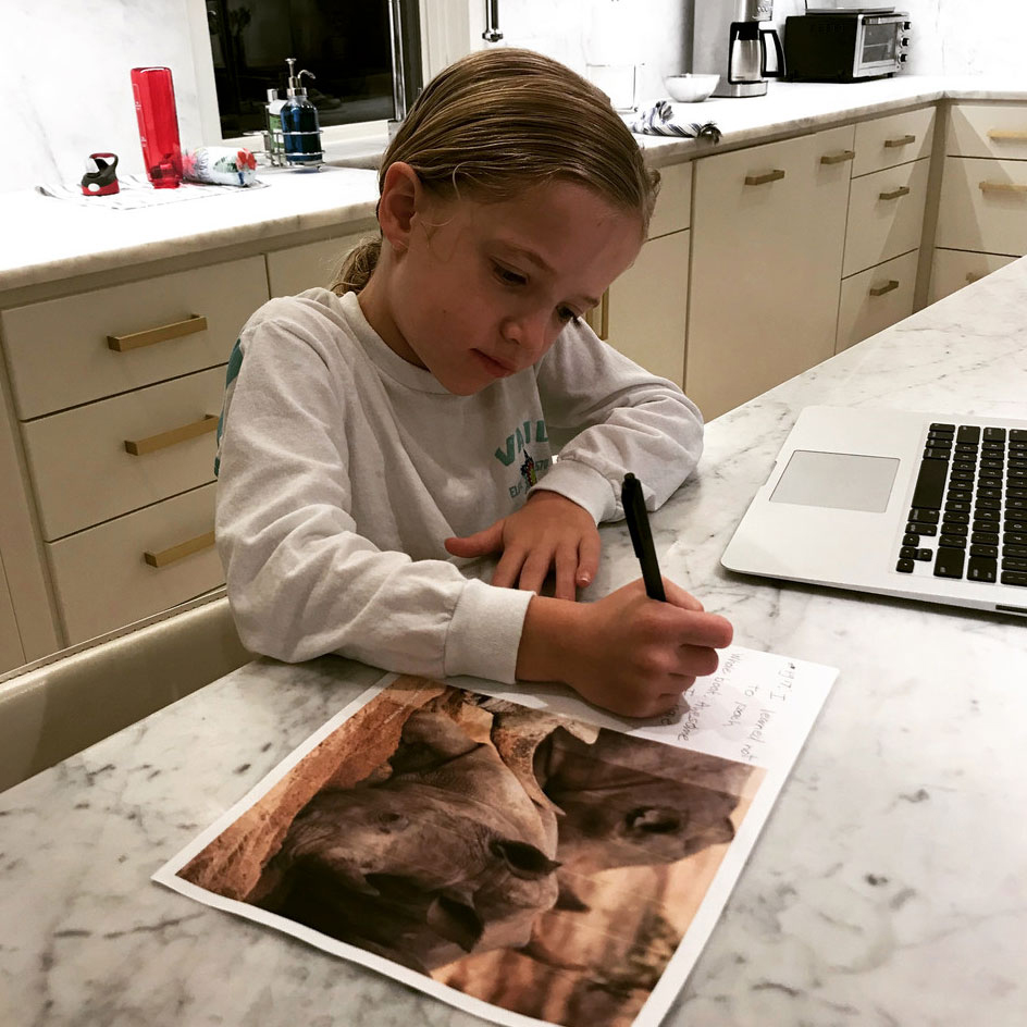 Kid in school working on animal conservation poster